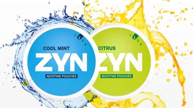 zyn-nicotine-pouches-review-1-e157499552