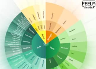 FEELM-Taste-Evaluation-Model