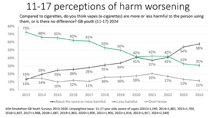 ash 2024 survey youth perception