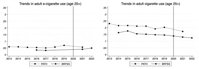 adult vape v smoke ban