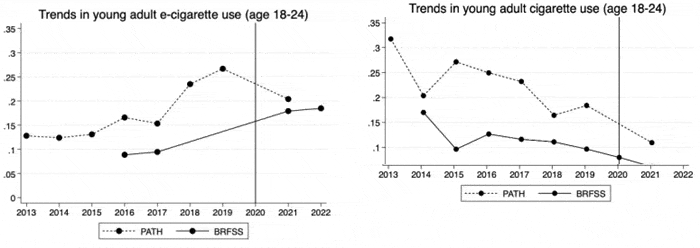 amend young adult vape v smoke ban