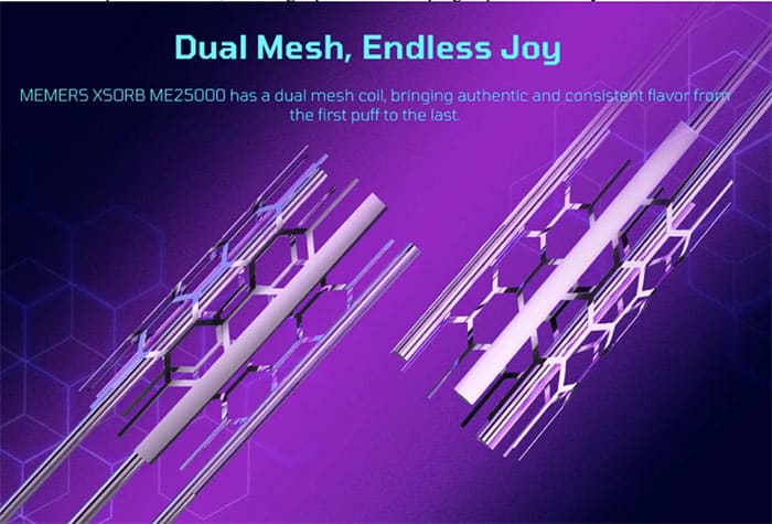 dual mesh xsorb