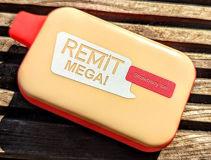 remit mega back view