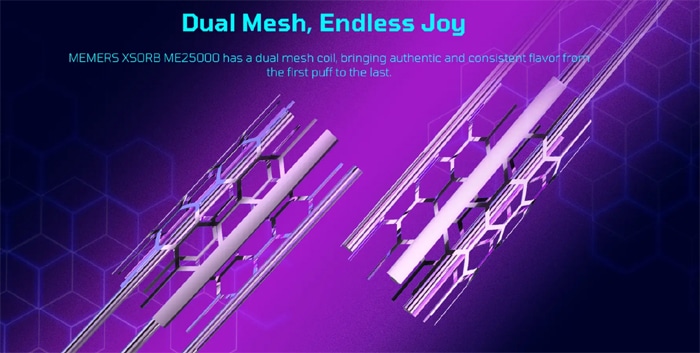 xsorb me25000 dual mesh